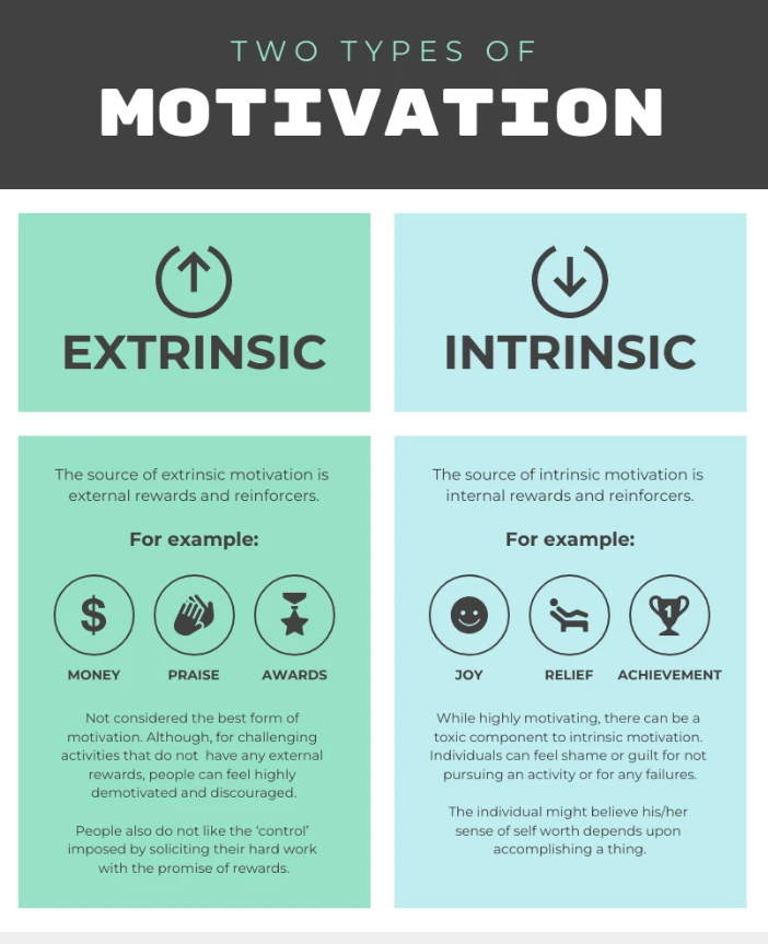 motivation two type